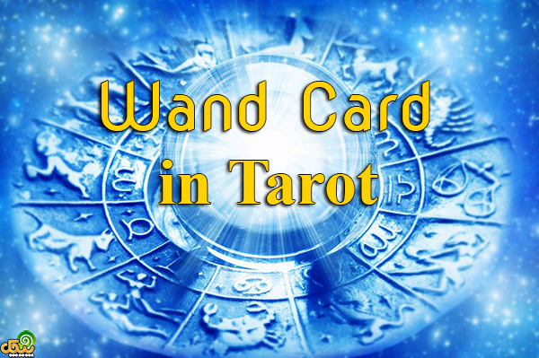 Wand Cards in Tarot Reading