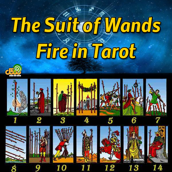 Wand Cards in Tarot Reading