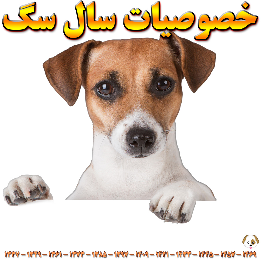 خصوصیات سال سگ حیوان سال تولد