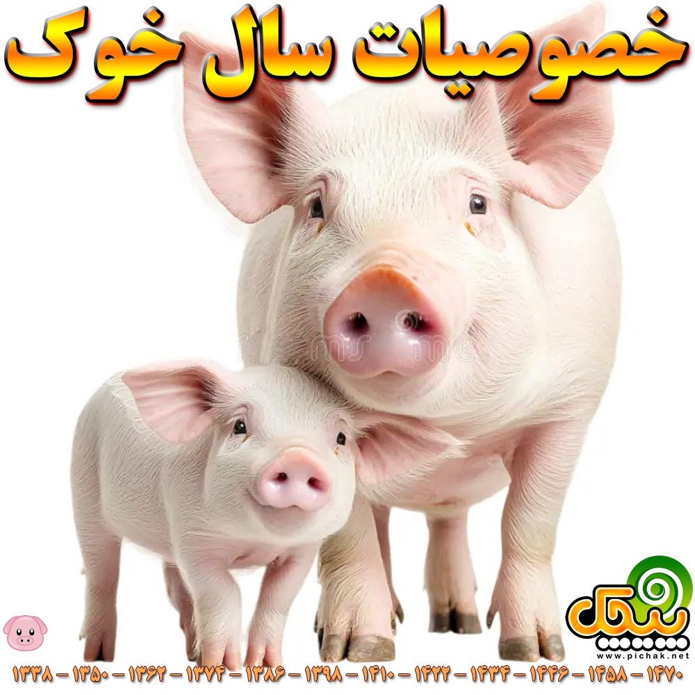 خصوصیات سال خوک حیوان سال تولد