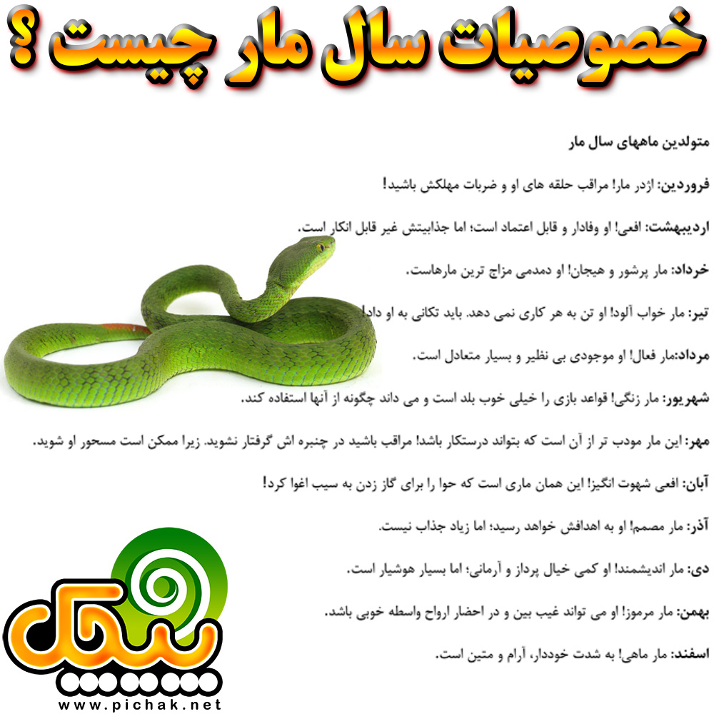طالع بینی چینی سال مار