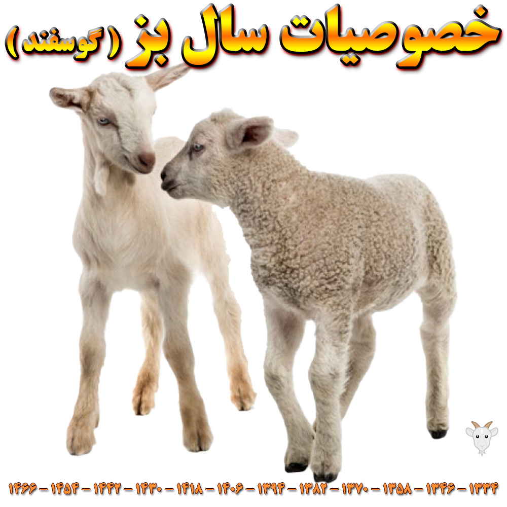 خصوصیات سال بز حیوان سال تولد