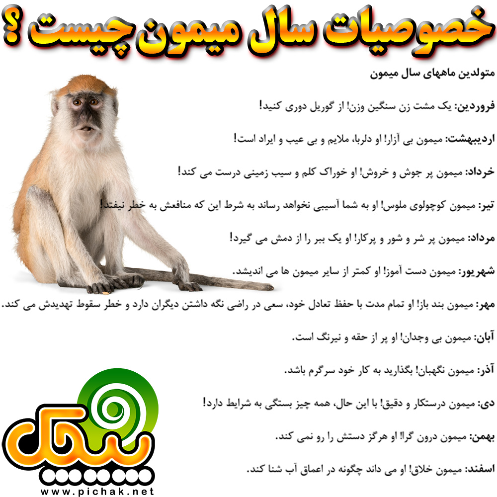 طالع بینی چینی سال میمون